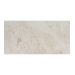 12x24 Shell Stone