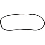 Windshield Gasket