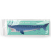 Ruler Blue Shark