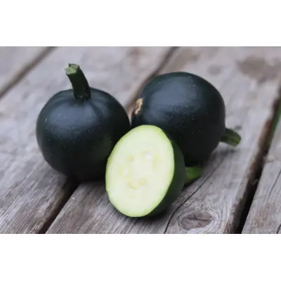 Winter Squash - Gem (Seed)