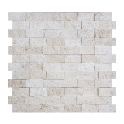 1X2 Shell Stone