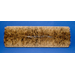 Broom, 42" 24 S.R. Union & Wire