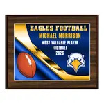 Standard Vividcolor AIO Award Plaques