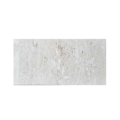 12X24 Shell Stone