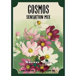 Heritage Packet: Cosmos - Sensation Mix (Seed)