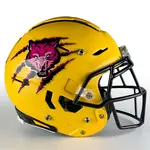 Breast Cancer Awareness Pink Football Helmet Decals