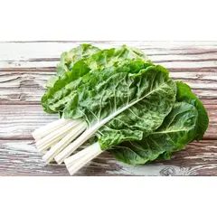 CHARD GREEN OG | 24 CT