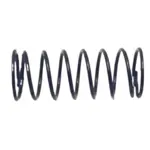 RETURN SPRING