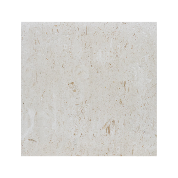 18X18 Shell Stone