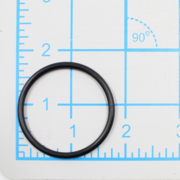 O-Ring (P-64419)