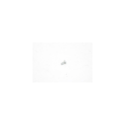 Nilfisk Advance - 56009247 - Scr Pn Phil Plastite 10-14X.38