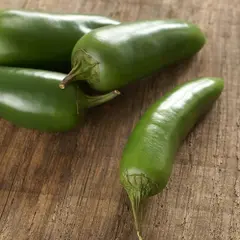 PEPPERS JALAPEÑO OG | 1 LB