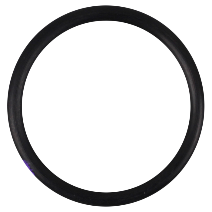 O-Ring (OR-PP-366B)