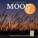 Old Farmer's Almanac Moon Calendar