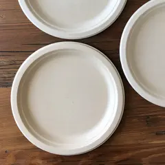 NF/ECO PLATE 9 IN FIBER | 12/20 CT