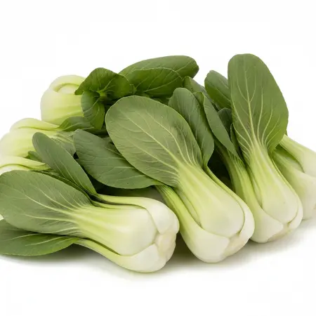 BOK CHOY BABY OG | 20 LBS