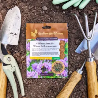 Dry And Sunny Wildflower Mix (Seed)