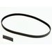 Belt-V 6 Rib Poly