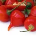 Hot Pepper - Pearls Biquinho (Seed)