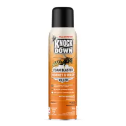 Kuus Knock Down Wasp & Hornet Foam