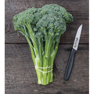 Broccoli - Waltham 29 (Organic Seed)