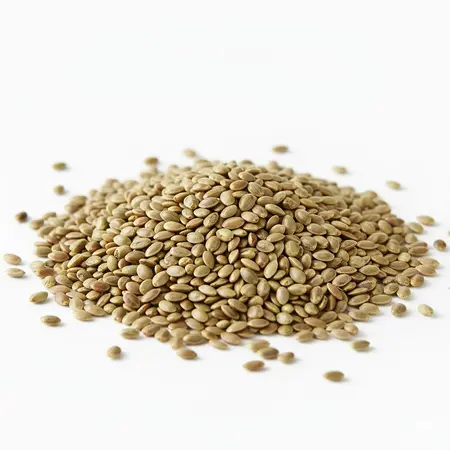 SEEDS HEMP OG | 50 LBS