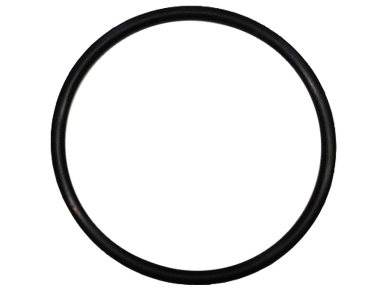 Allied Innovations HEATER ORING 2" TAILPIECE