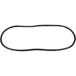 Windshield Gasket