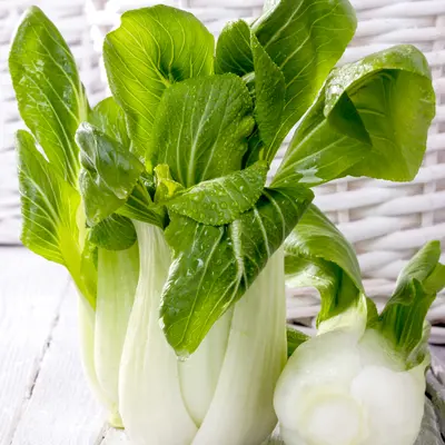 Pak Choi - Hanakan (Seed)