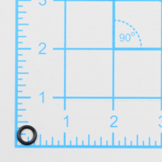O-Ring (P-64637)