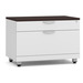 PL1012 TWO DRAWER PERSONAL CABINET- WHITE