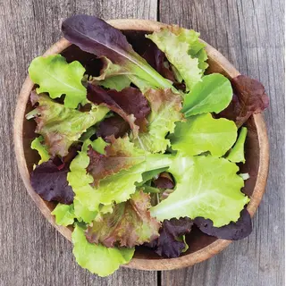 Lettuce - Gourmet Blend (Organic Seed)
