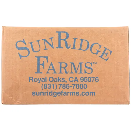 CASHEWS SEA SALT & APPLE CIDER VINEGAR | 12 LBS