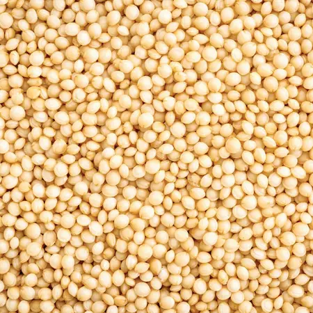 AMARANTH OG | 25 LBS