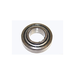 Roller Bearing