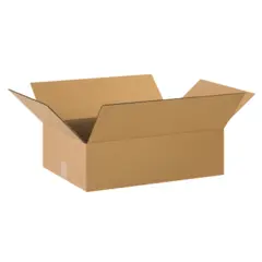 22 X 16 X 4" ECT32 CORRUGATED CARTON 25/BD