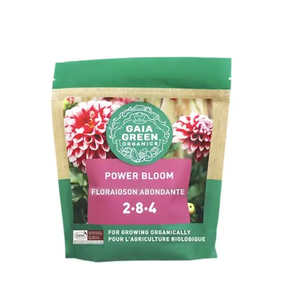 Gaia Green Power Bloom