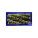 Broom, 22" 8 S.R. Union