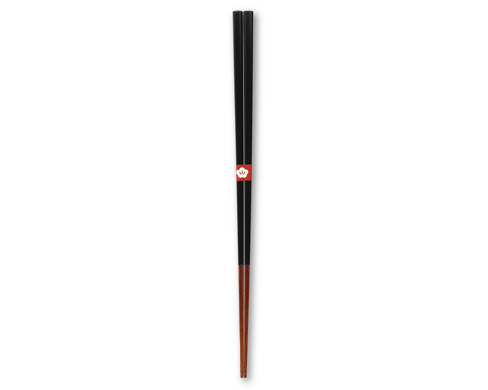 Chopsticks Shitsukotsu Black