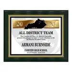 Standard Vividcolor AIO Award Plaques with Metal Border