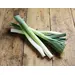 ONIONS LEEKS OG | 20 LBS
