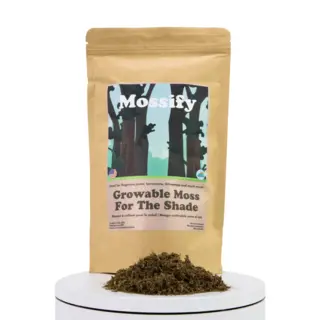 Shade Growable Moss Small Bag