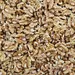 WALNUTS HALVES & PCS OG | 5 LBS