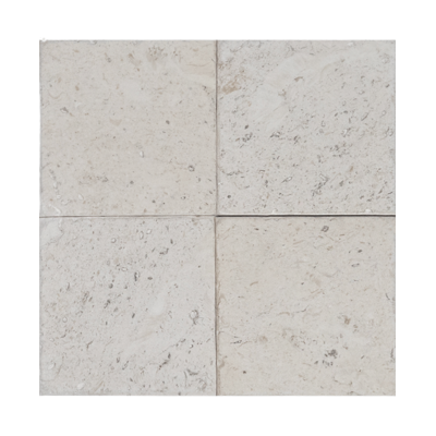Shell Stone
