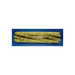 Broom, 56" 8 D.R. Proex & Wire