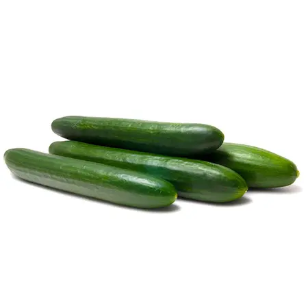 CUCUMBERS ENGLISH OG | 12 CT