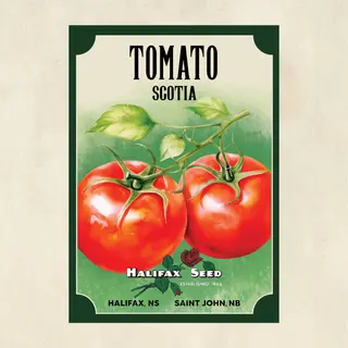 Heritage Seed Collection