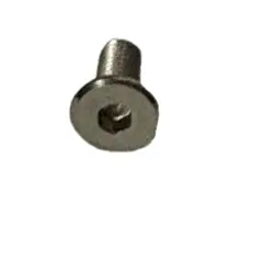 HEX SKT ELH CAP SCR STN M5X10