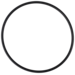 O-Ring (OR-PP-420)