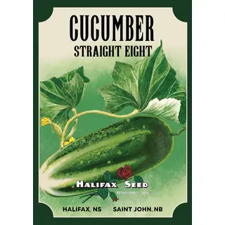 Heritage Packet: Cucumber - Straight Eight (Seed)